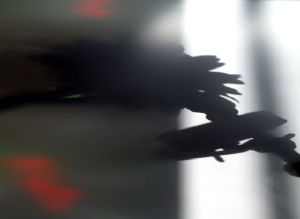 shadoww.jpg